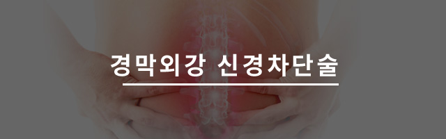 경막외강 신경차단술